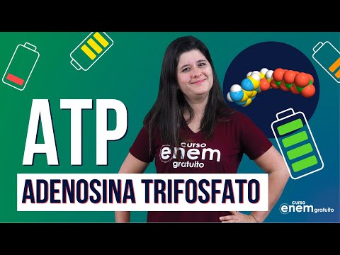 Vídeo: Como o ADP se torna ATP de onde vem essa energia?