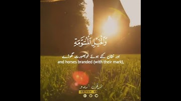 📜زين للناس حب الشهوات✨سورة آل عمران:١٤|عبدالرحمن مسعد|Surah Aal e Imran:14|Abdur Rahman Mosad