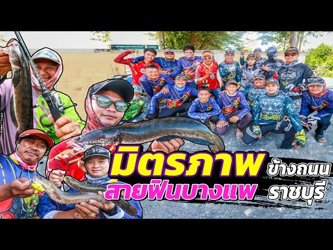 FIN FROG THAILAND มิตรภาพ ข้างถนน สายฟินบางแพ ราชบุรี มิตรภาพ ข้างถนน สายฟินบางแพ ราชบุรี