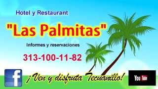 Hotel y Restaurant "Las Palmitas " Tecuanillo, Colima.México