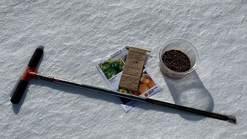 How to Conduct a Soil Test