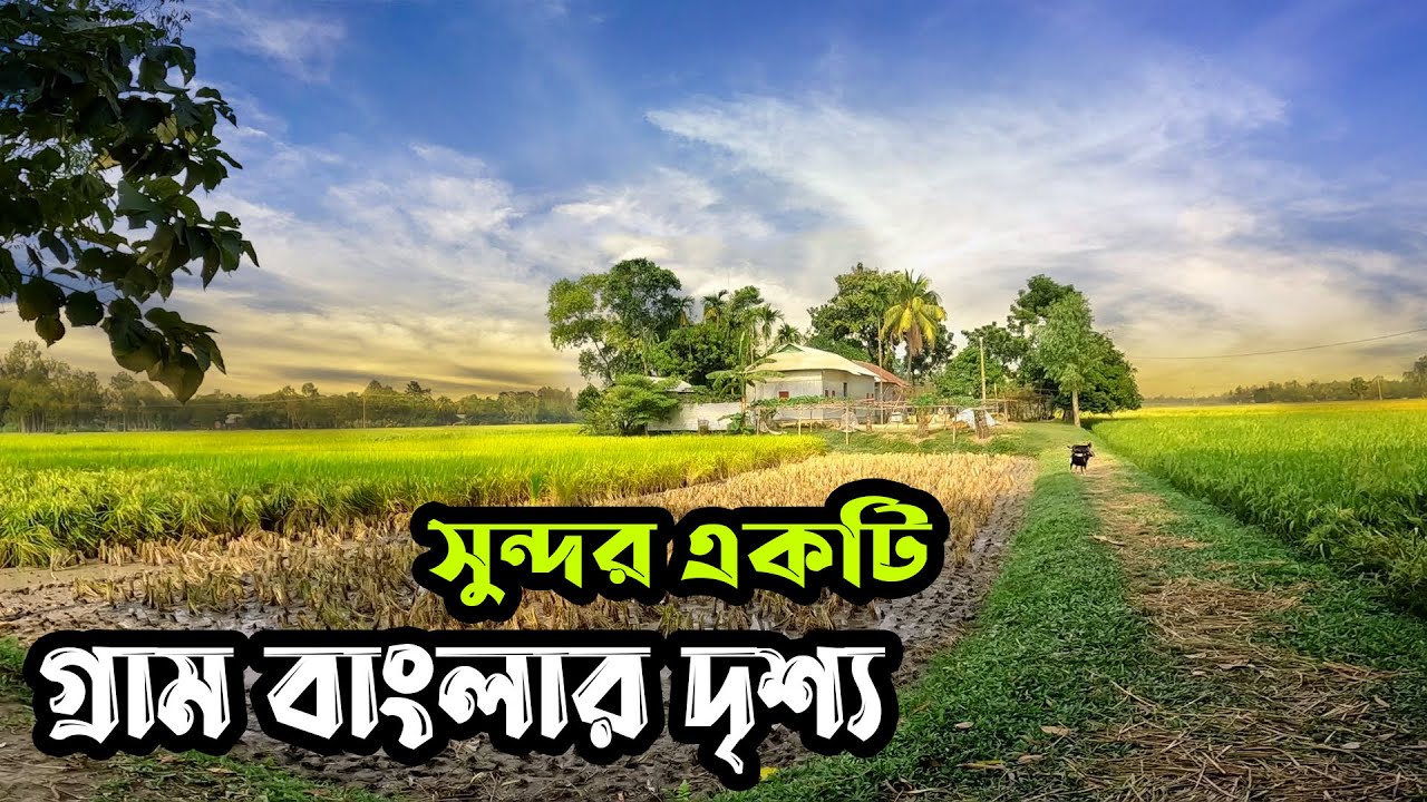 Oglim onasi uchun erektsiya qildi.