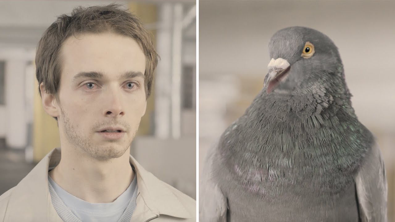 québec news 6 publicités créatives et chocs de la sécurité routière au Québec