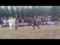 dangal fight scene