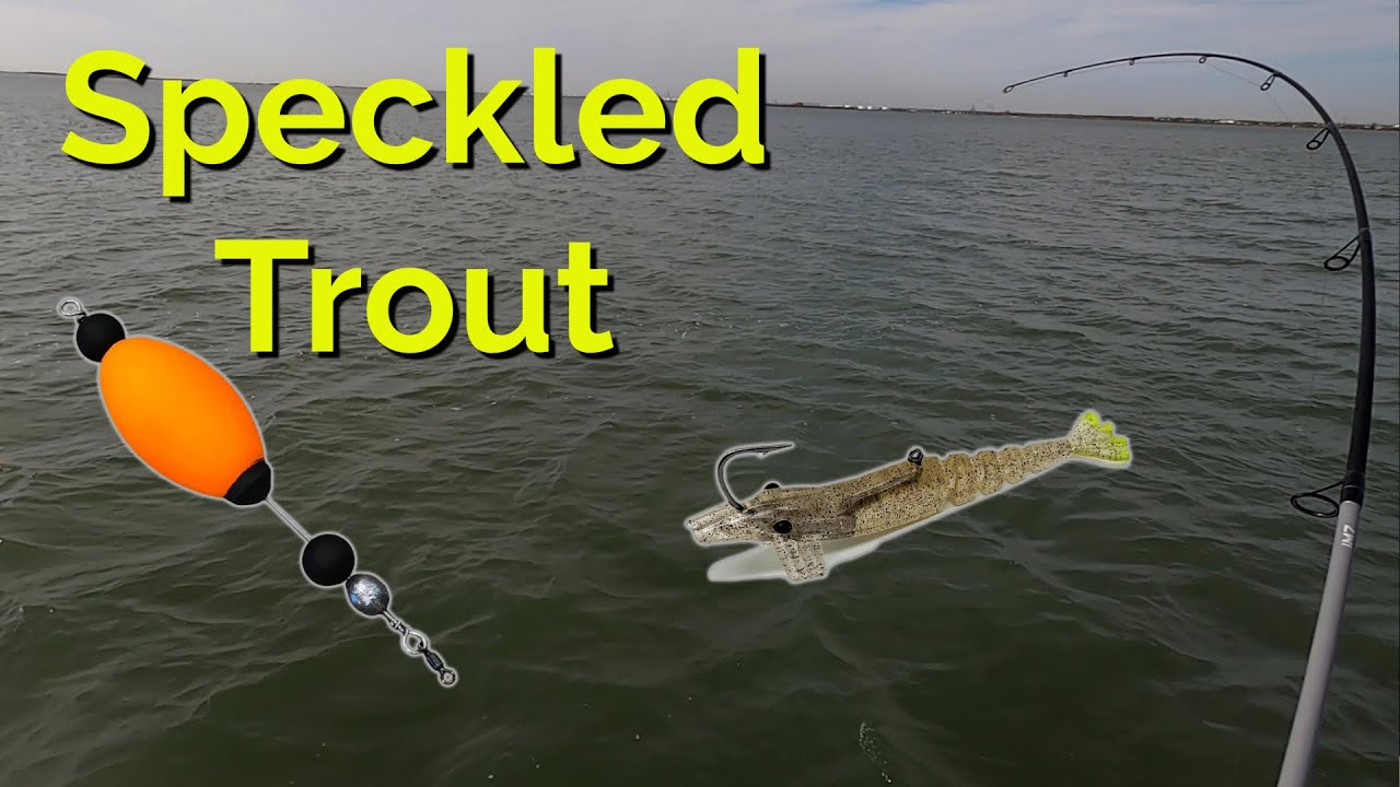 Speckled Trout Were Stacked In One Hole Aransas Pass Texas Charter