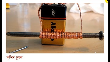 চুম্বক ও তড়িৎ (Magnets and Electricity) | Class VII Environment and Science | WBBSE