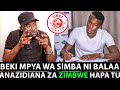 🠴 Salamba AMCHAMBUA BEKI MPYA WA SIMBA • KUCHUKUA MIKOBA YA ZIMBWE Jr • MKALI WA KUSHAMBULIA 🠴 Salamba AMCHAMBUA BEKI MPYA WA SIMBA • KUCHUKUA MIKOBA YA ZIMBWE Jr • MKALI WA KUSHAMBULIA