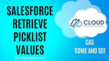 Salesforce Retrieve Picklist Values in Flow: CAS Come and See Video