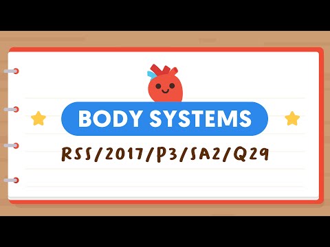 PSLE SCIENCE MADE SIMPLE EP33 | Body Systems | Digestion VS Adding Digestive Juices