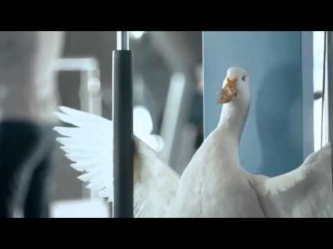 Aflac Duck in the Hospital   Eye of the Tiger Commercial Low