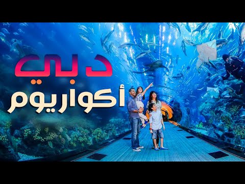 دبي أكواريوم وحديقة الحيوانات المائية