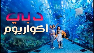 Dubai Aquarium & Underwater Zoo دبي أكواريوم وحديقة الحيوانات المائية