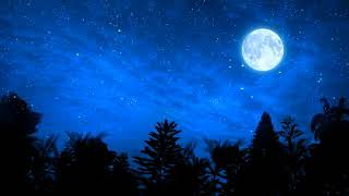 Nights sky background with star screenshot 4