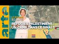 Dsert du sina  un camp pour les palestiniens   lessentiel du dessous des cartes  arte