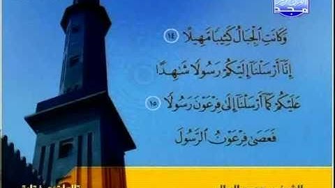 التلاوات المختارة | محمد البراك ( سورة المزمل )