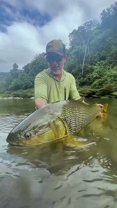 Here s What A 30lb Golden Dorado Looks Like YouTube here-s-what-a-30lb-golden-dorado-looks-like-youtube