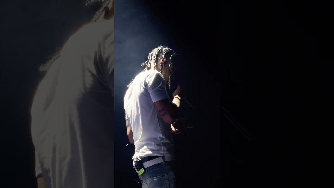 Merci la cigale 🫶