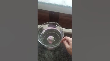 Determining refractive index via apparent depth and real depth of water using parallax method (v3.0)