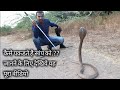 कैसे पकडते है सांप, जानने के लिए इस वीडियो को आखरी तक देखिये | How to catch snake..?