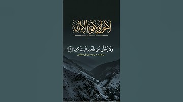 قرآن كريم📜 راحة نفسية ودواء للقلب والنفس❤ #الله #قرآن #اكسبلور
