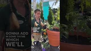 Let’s Plant a Pizza Garden 🍕