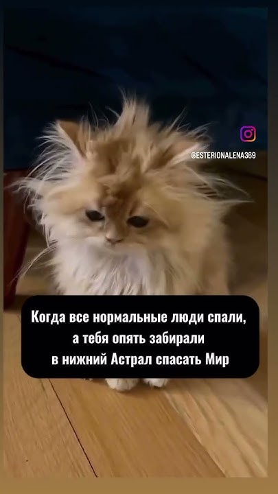 #астральныепутешествия ##астрал #осознанность #мистика #вибрации # ...