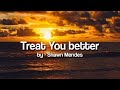 Shawn Mendes - Treat You better (Lyrics)