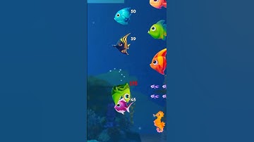 Hungry Fish Fishdom Gameplay level 11 #shorts Today