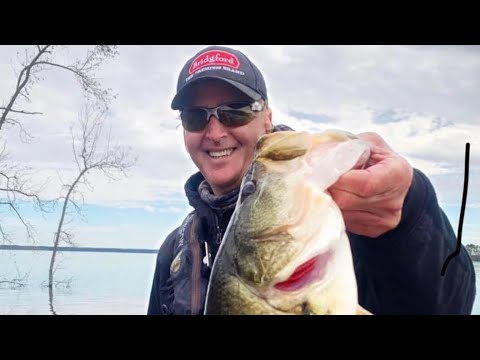 The One Lure That Catches EVERYTHING