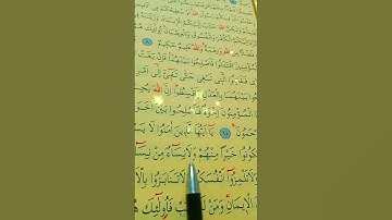 سورة الحجرات الأية 11 بصوت سعد الغامدي