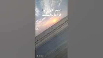 سورة الضحى بصوت رائع للقارئ محمد باقر