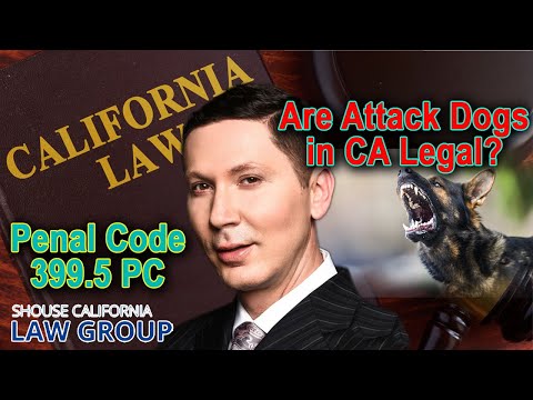 are-attack-dogs-illegal-in-california?