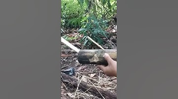 Squirrel Traps Using Bamboo