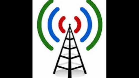 Trimet driver sees murder victim