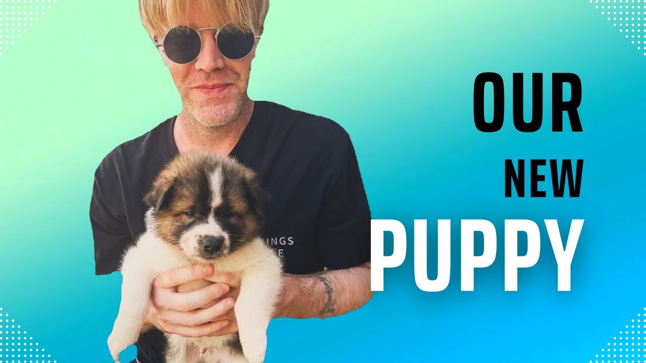 We Adopted a Puppy! 🐶 | Vlog | Zen - YouTube