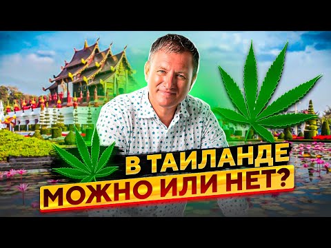 Туристам в Таиланде это важно знать! // Легализация марихуаны - что можно а что нельзя в Таиланде