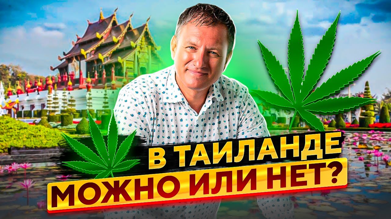 Туристам в Таиланде это важно знать! // Легализация марихуаны - что можно а что нельзя в Таиланде