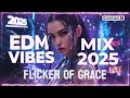 Flicker of Grace | EDM Vibes Mix 2025 Party Music [ 2 HOURS ]