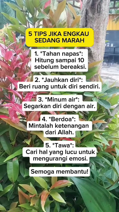 Kalau marah jgn emosi x ya...semoga bermanfaat.#quotesviral #quotesfyp @CatatanHarianMotivasi