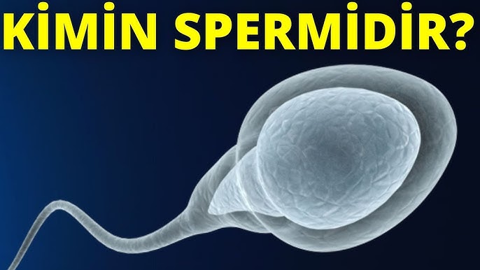 Bir qiz hovlida oz yigitining qoshigini tortib oldi