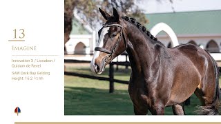 Lot 13 | Callaho Imagine (Innovation x Lissabon x Quidam de Revel)
