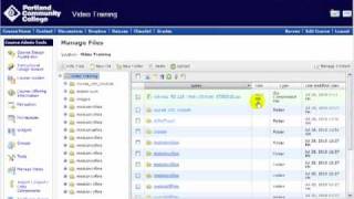 Upload files into Desire2Learn