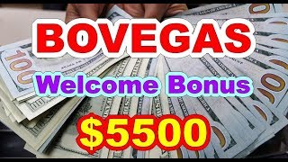 Bovegas Promo Codes