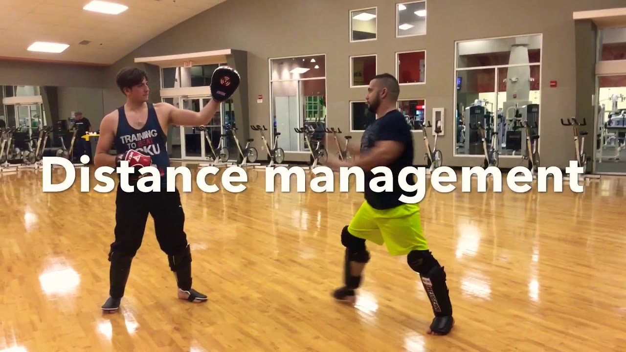 Upcoming Videos This week online galicia