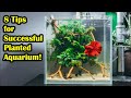 Setting up a planted tank for betta fish tips and tricks