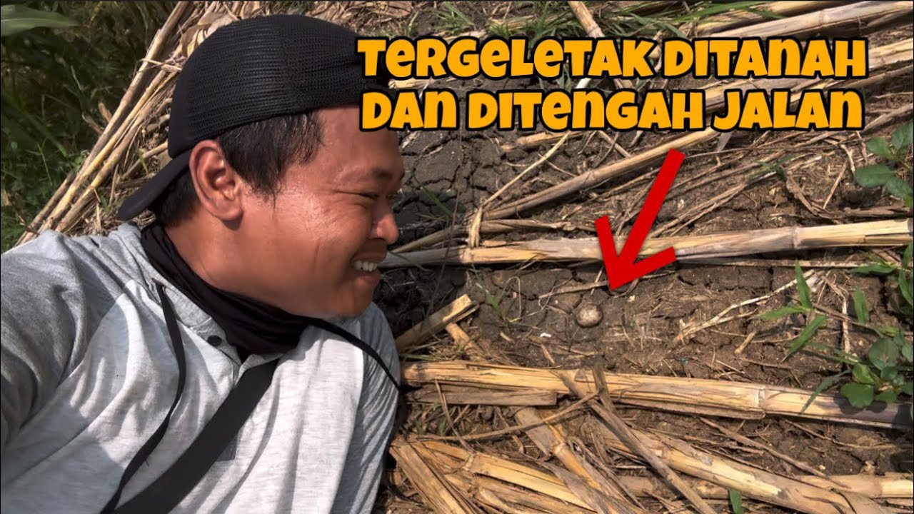 Lah… Ini kalau kelindes gimana,,, tempatnya ngawur sekali 😅