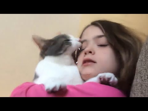 Cats Don't Like Things | Funny Cat Video Compilation 2017