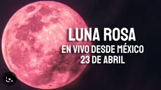 Luna Rosa en Vivo desde México  23 abril 2024🌛🌘 Luna Llena de abril 2024