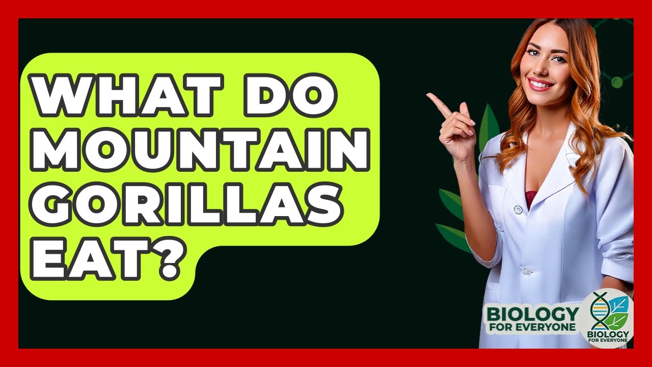 What Do Mountain Gorillas Eat? - Biology For Everyone