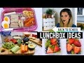 Back to school lunchbox ideas  collab with rachelleea